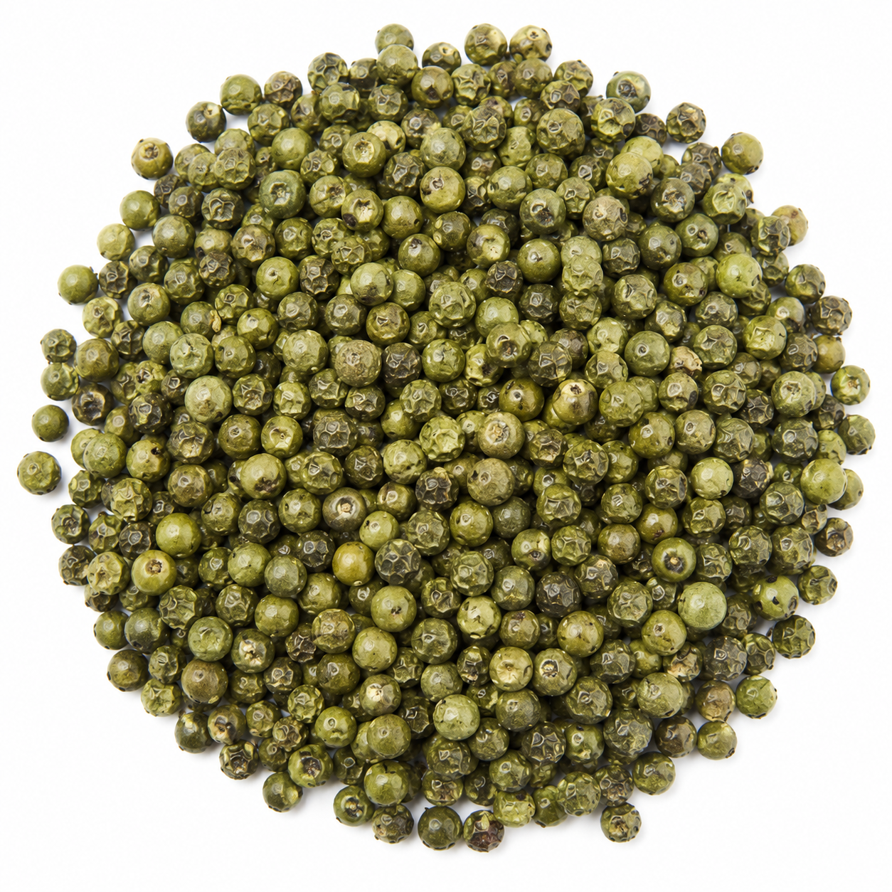 Green Pepper