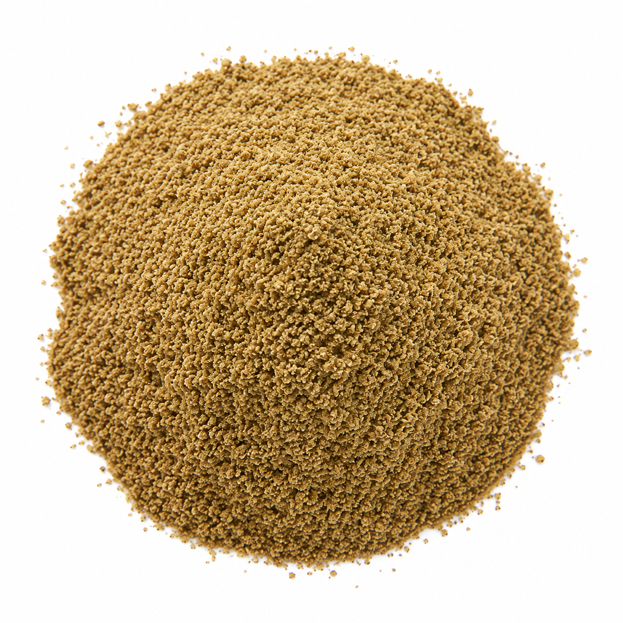Organic Ajwain Powder
