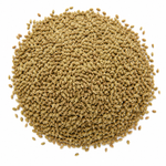Organic Ajwain Seeds