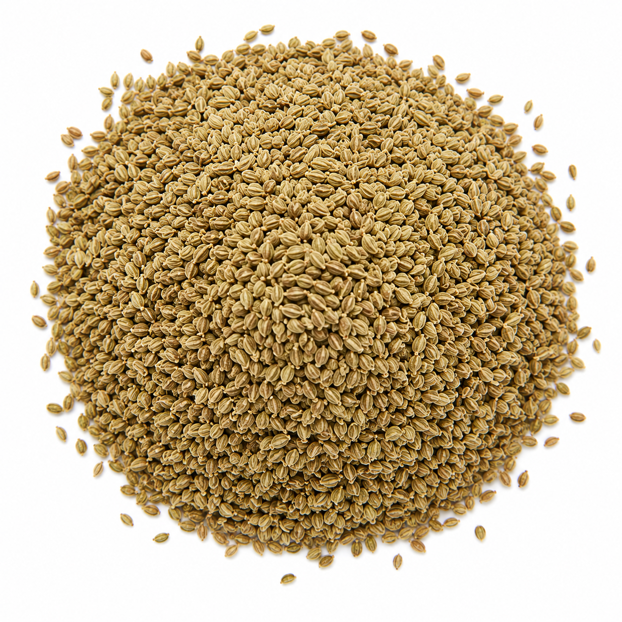 Organic Ajwain Seeds