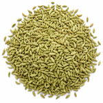 Organic Fennel Whole