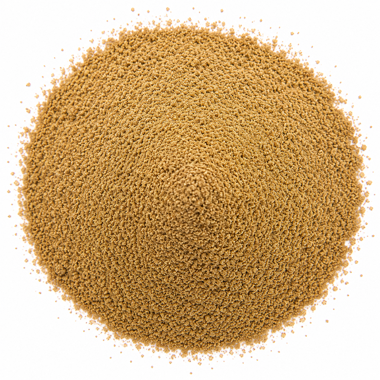 Organic Coriander Ground