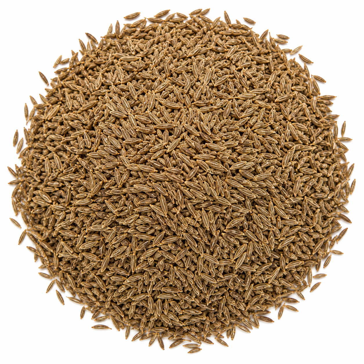 Organic Cumin Seed