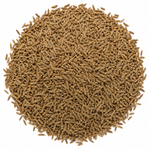 Organic Cumin Seed