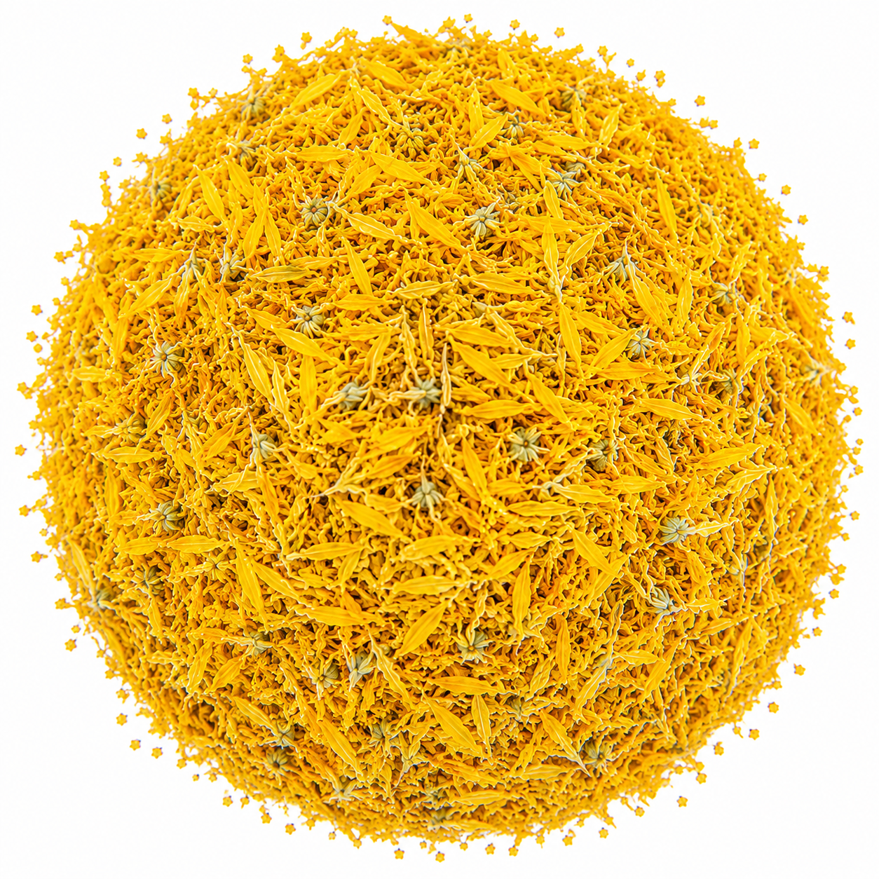 Marigold Petals Yellow