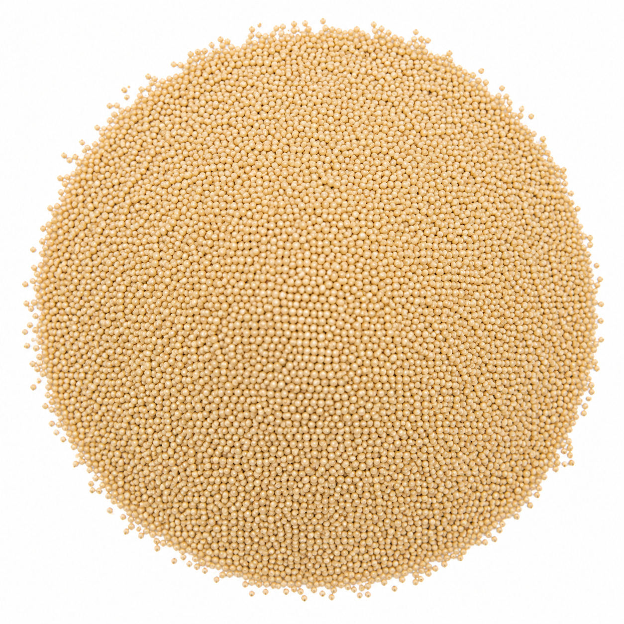 Organic Amaranth