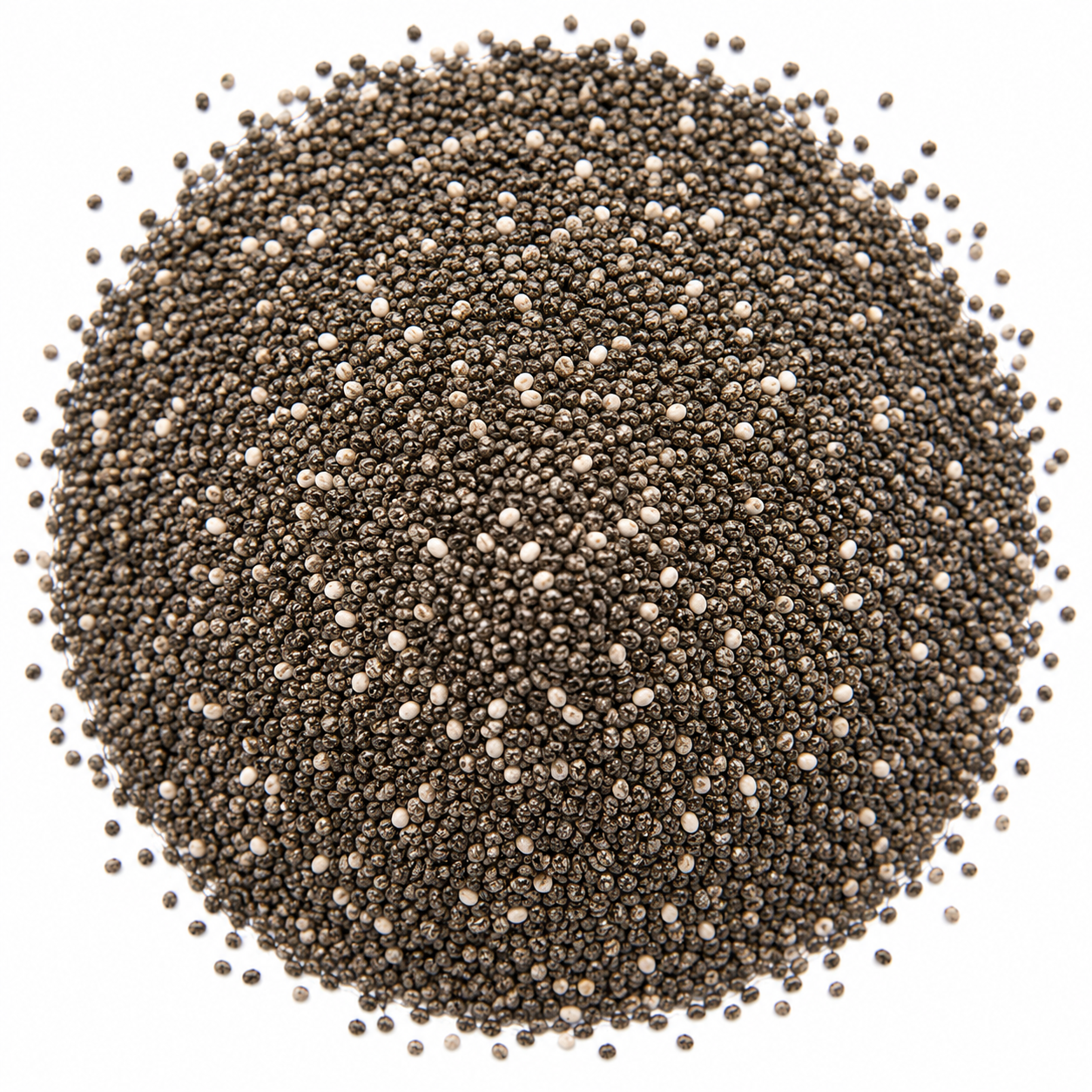 Organic Chia Seeds